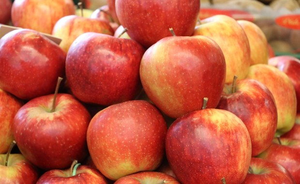 Interwencyjny skup jabłek: Znamy ważne szczegóły