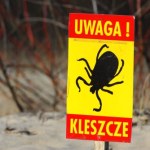 Inwazja kleszczy