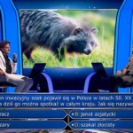 Inwazyjny ssak sprawił spory problem. Interweniowała widownia