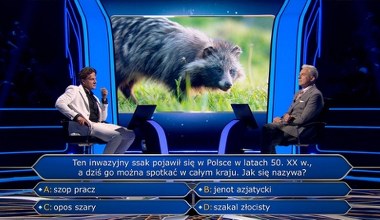 Inwazyjny ssak sprawił spory problem. Interweniowała widownia