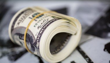 Inwestorzy tracą zaufanie do dolara? "Fundamentalna zmiana"