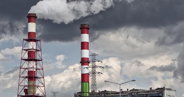 Inwestycja w Ostrołęce ma być ostatnią związaną z węglem kamiennym /fot. Andrzej Stawiński /Reporter