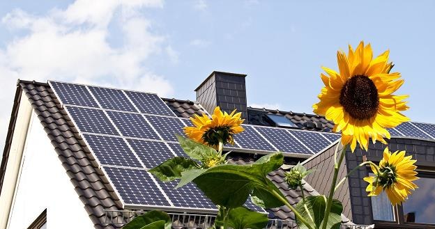 Inwestycja w panele słoneczne pozwala obniżyć miesięczne opłaty za energię /&copy;123RF/PICSEL