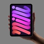 iPad mini 6 - kolejne problemy ze sprzętem Apple