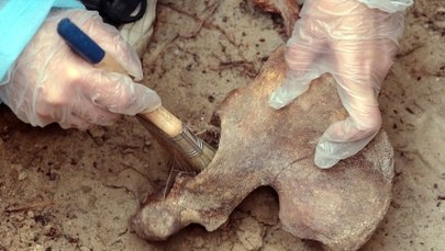 IPN odkrył miejsce tajnych pochówków 30 ofiar terroru komunistycznego na łódzkim cmentarzu