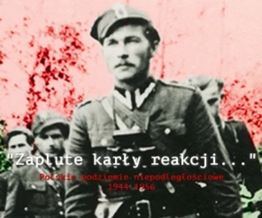 IPN utworzył stronę o polskim podziemiu z lat 1944-1956 