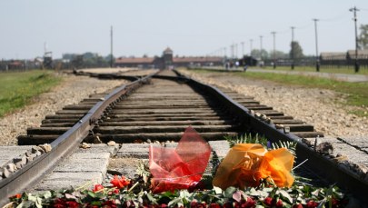 IPN wciąż zwleka z pozwem ws. słów o walce Żydów z "polskim reżimem"