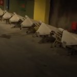 Iran prezentuje podziemny arsenał. "Mamy tyle dronów"