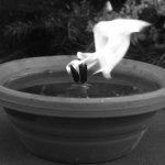 Irena Rupińska nie żyje. Znana przedsiębiorczyni zginęła w wieku 54 lat