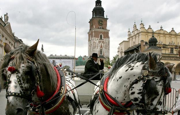 Irlandczycy pokażą między innymi krakowski Rynek /AFP