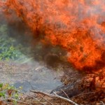 Iskra może paść na las z nieoczekiwanej strony. Tak doszło do tragedii