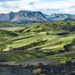 Islandia daje przykład. Wdraża ekologiczną technologię przeciwko pluskwom