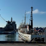 Islandia Islandia wydali 21 aktywistów. Chcieli powstrzymać polowanie na wieloryby