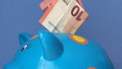 Islandzcy posłowie dostaną sporą podwyżkę. By byli niezależni