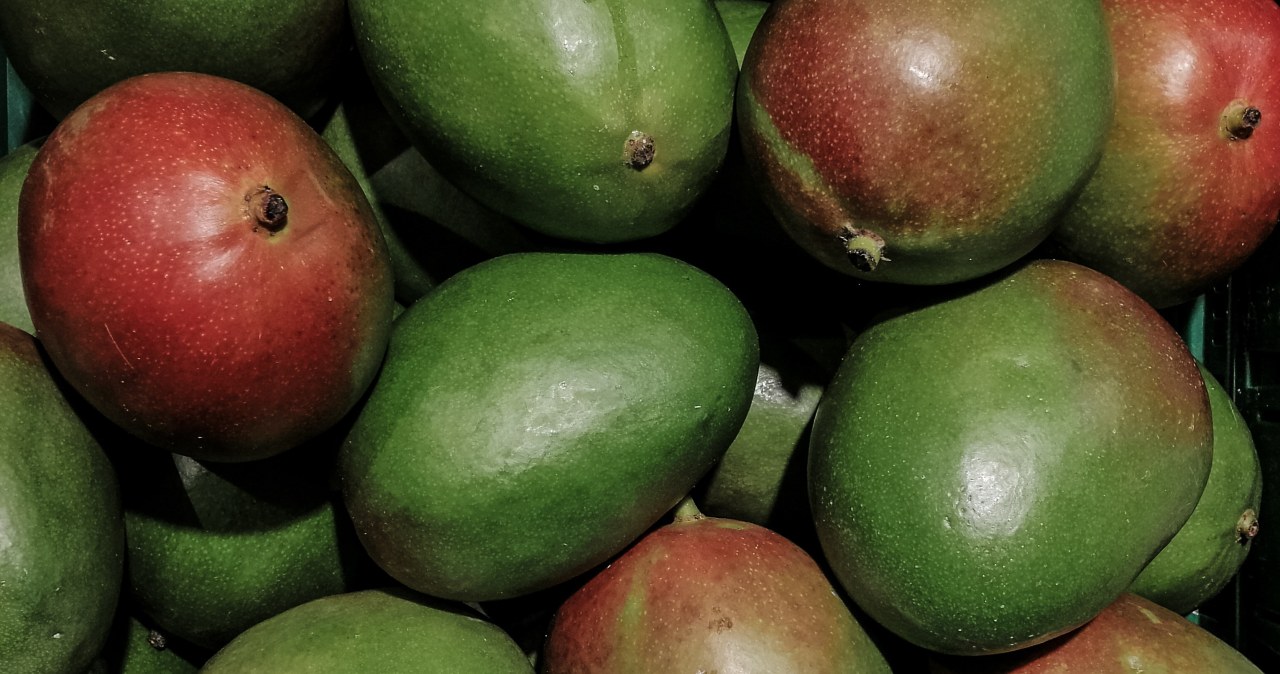 Існує безліч сортів манго, які відрізняються смаком, розміром, формою та кольором шкірки /pixabay.com