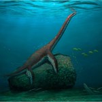 Istoty jak potwór z Loch Ness żyły w Europie. Odkryli je w Niemczech