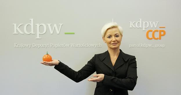 Iwona Sroka, prezes Krajowego Depozytu Papierów Wartościowych /PAP