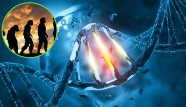 Izolowali się przez 200 tys. lat. Naukowcy odkryli kluczowe mutacje w ich DNA