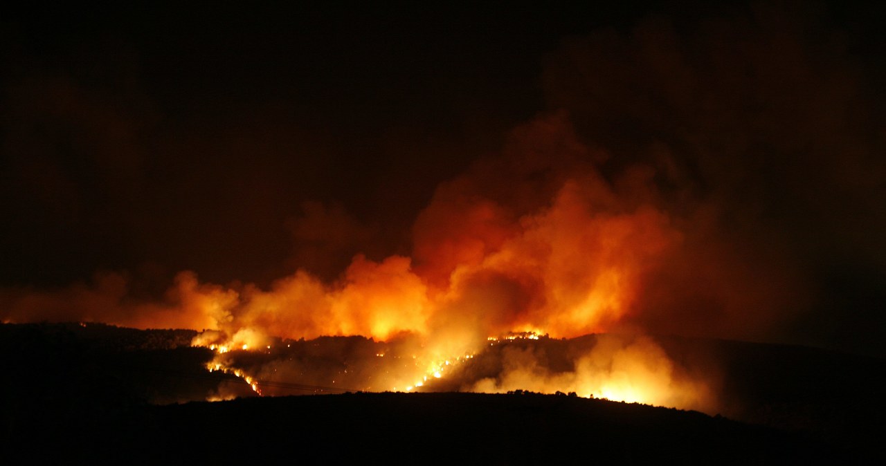 Izrael: 40 osób zginęło w pożarze lasu