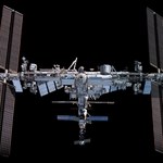 Izraelczycy zbadają aktywność mózgu astronautów