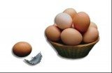 J. Korwin-Mikke potrafi przyrządzić jajecznicę na... 55 sposobów /INTERIA.PL