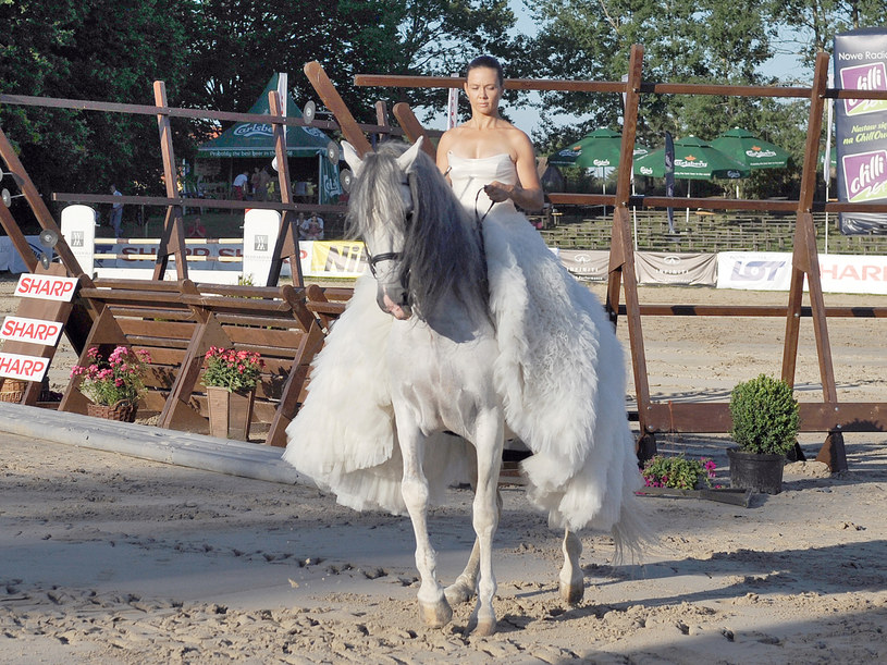 "Ja i mój koń mamy fenomenalny kontakt" &nbsp; /Andras Szilagyi /MWMedia