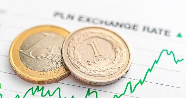 Ja zareagowała polska waluta na decyzję EBC? /&copy;123RF/PICSEL