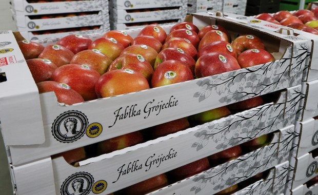 Jabłka grójeckie mają szansę podbić Brazylię. Ustalenia RMF FM