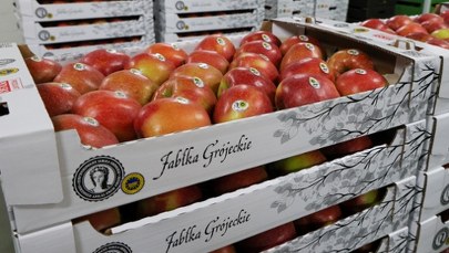 Jabłka grójeckie mają szansę podbić Brazylię. Ustalenia RMF FM