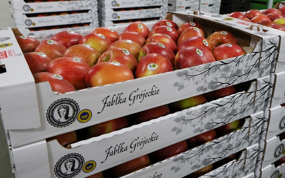 Jabłka grójeckie mają szansę podbić Brazylię. Ustalenia RMF FM