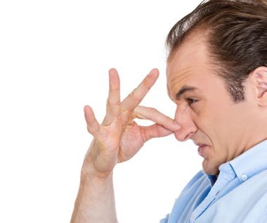 Jabłka, kapusta i fasola. Co mają ze sobą wspólnego?