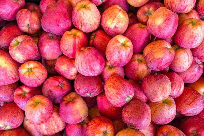 Jabłka najlepiej smakują jesienią /123RF/PICSEL