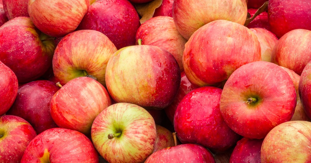 Jabłka podrożały o 74 proc. /123RF/PICSEL
