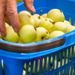 Jabłka popularne w PRL. Mało kto wie, jak wpływają na organizm