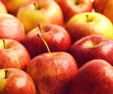 Jabłka: Szybka i zdrowa przekąska. Dlaczego warto po nie sięgać? 