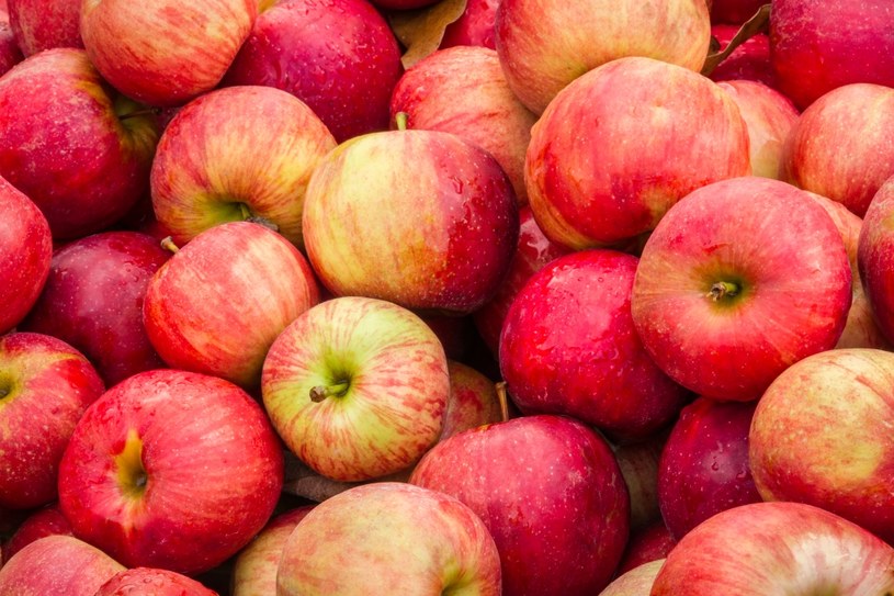 Jabłka to jedne z najchętniej spożywanych owoców - zawierają bardzo dużo bakterii /123RF/PICSEL