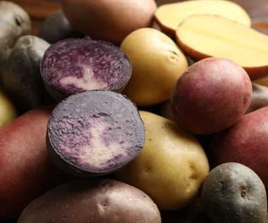 Jadał je król Jan III Sobieski. To skarbnica antyoksydantów, mają dużo potasu i magnezu, obniżają ciśnienie