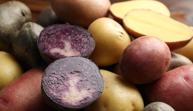 Jadał je król Jan III Sobieski. To skarbnica antyoksydantów, mają dużo potasu i magnezu, obniżają ciśnienie