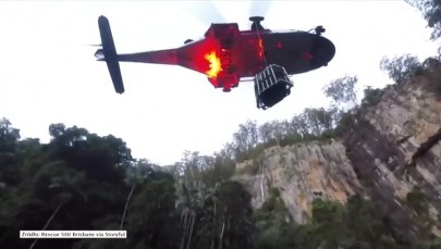 Jadowity wąż ukąsił turystę. Ocaliła go aplikacja na telefon 