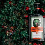 likier Jager, z czym go pić? Podróż po świecie wyrafinowanych smaków
