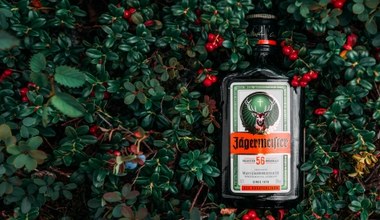 Jager, z czym go pić? Podróż po świecie wyrafinowanych smaków