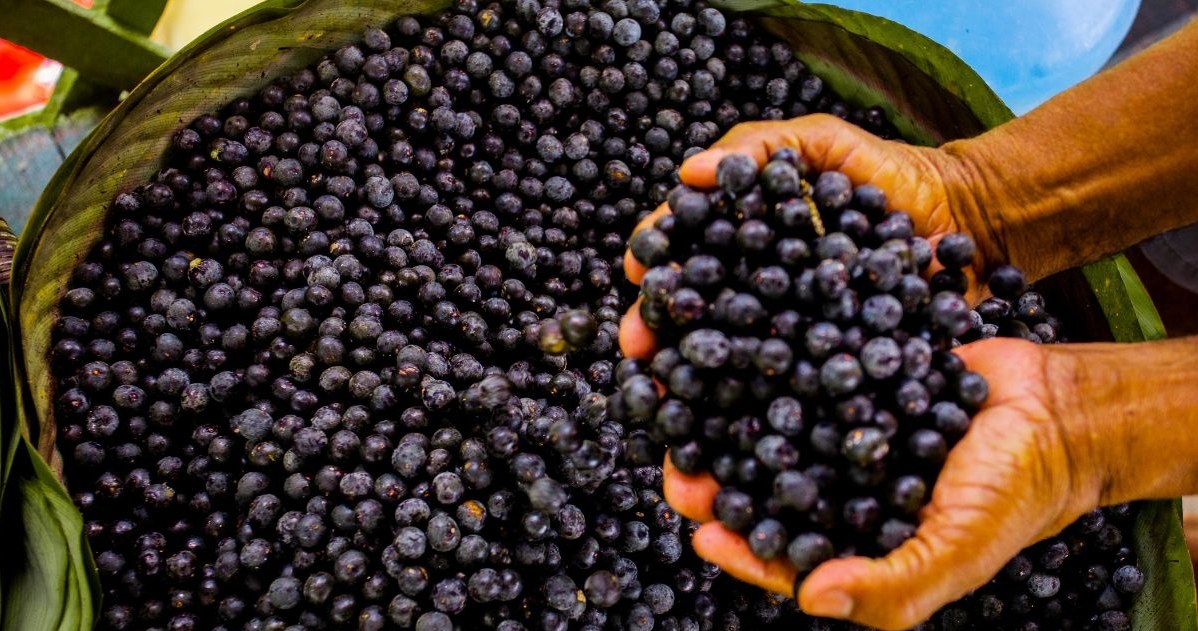 Jagody acai uznawane są za superfood. Sprawdź ich właściwości /Canva Pro /INTERIA.PL