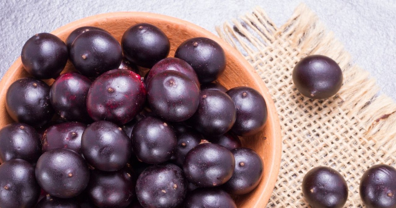 Jagody acai. /Aleksander Ruiz /Canva Pro