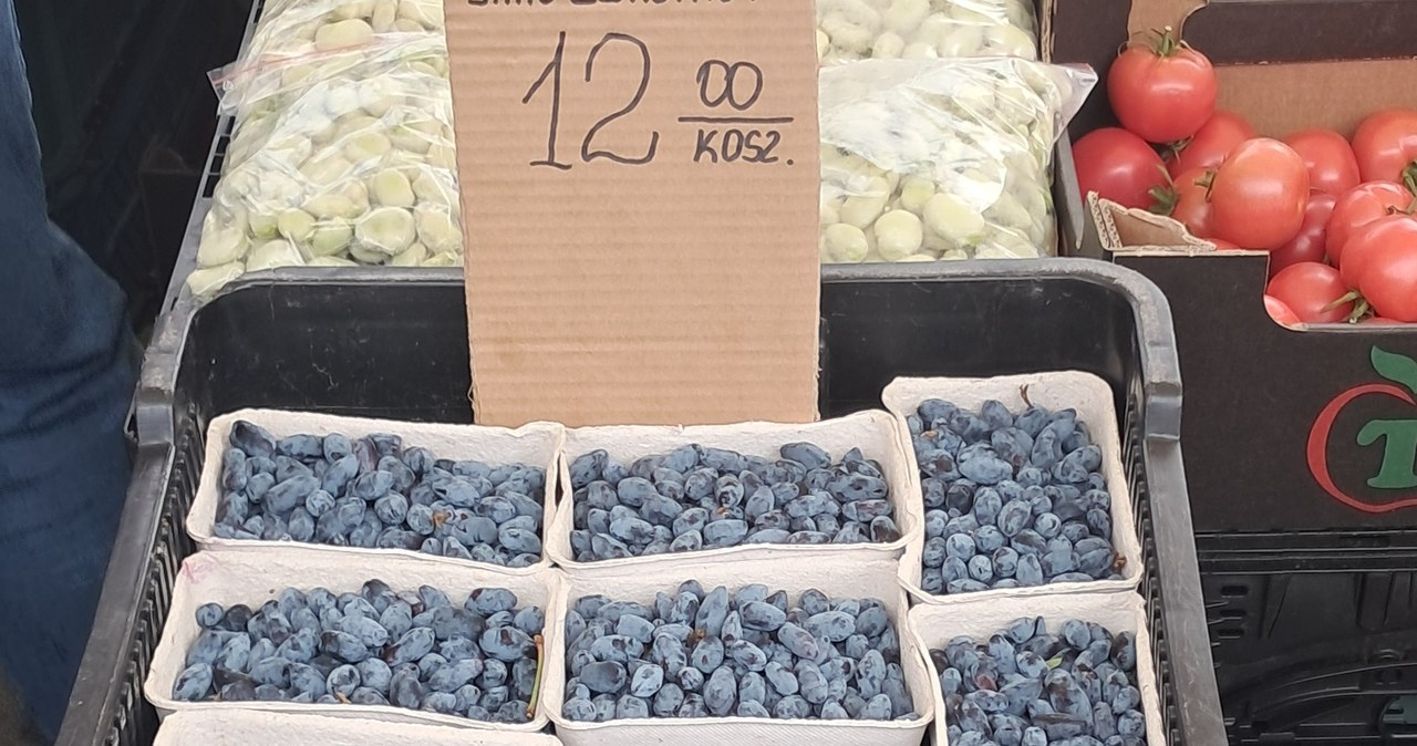 Jagody kamczackie kosztowały od 10 do 12 zł za małą łubiankę. /interia /INTERIA.PL