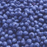 Jagody "na wagę złota". Cena może szokować