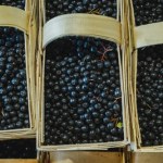 Jagody są świeże znacznie dłużej. Przechowuję je tak