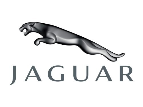 JAGUAR - drapieżny kot w skoku /Jaguar