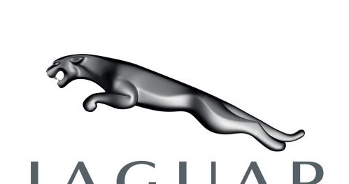 JAGUAR - drapieżny kot w skoku /Jaguar