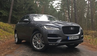 Jaguar F-Pace: drapieżnik udomowiony