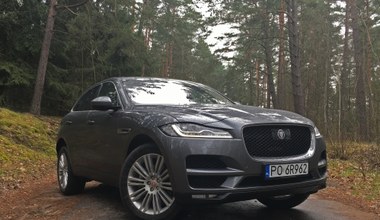 Jaguar F-Pace: drapieżnik udomowiony